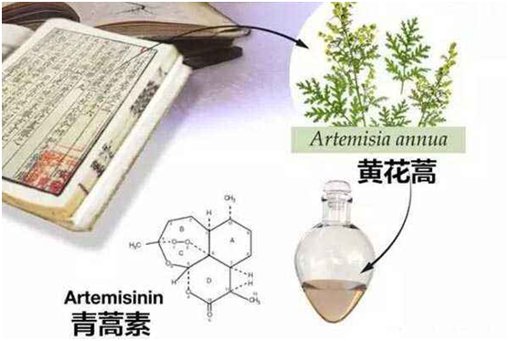 乐竞体育官网,APP下载：向中医药看齐，与世界共享中医药文化(图1)